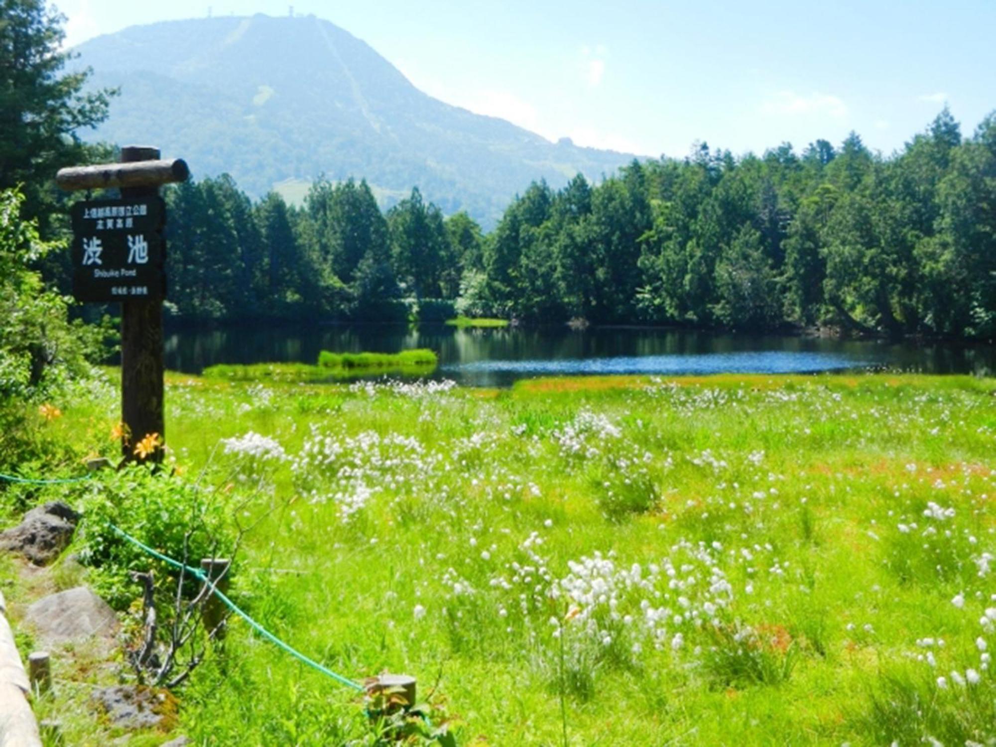 Shiga Kogen Lodge Yamanouchi  Zewnętrze zdjęcie