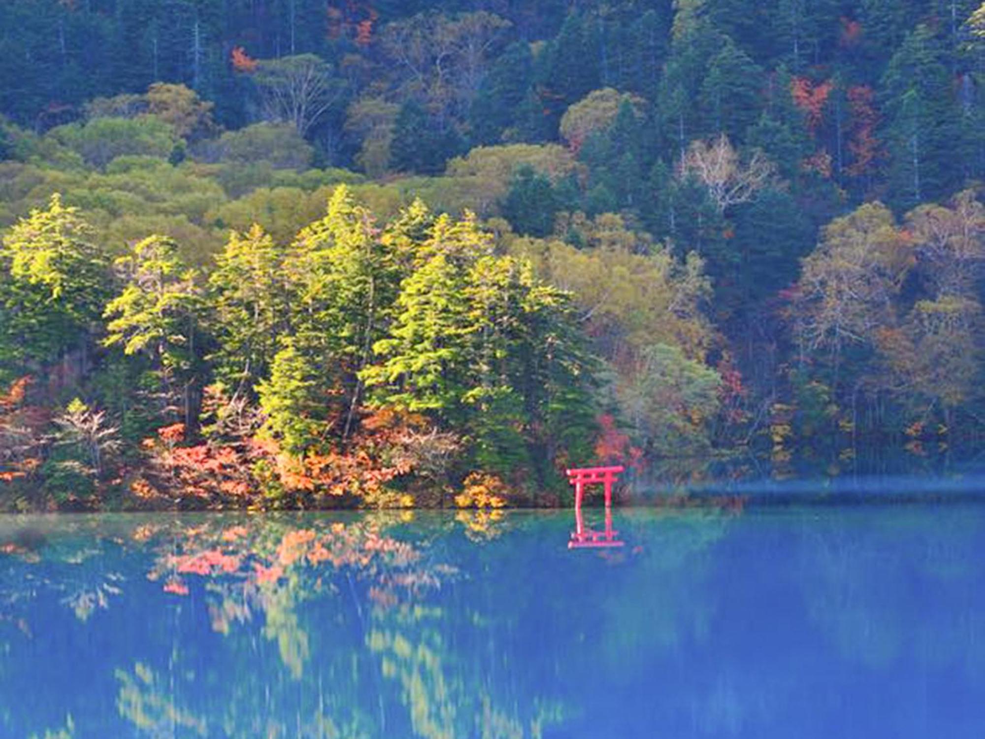 Shiga Kogen Lodge Yamanouchi  Zewnętrze zdjęcie