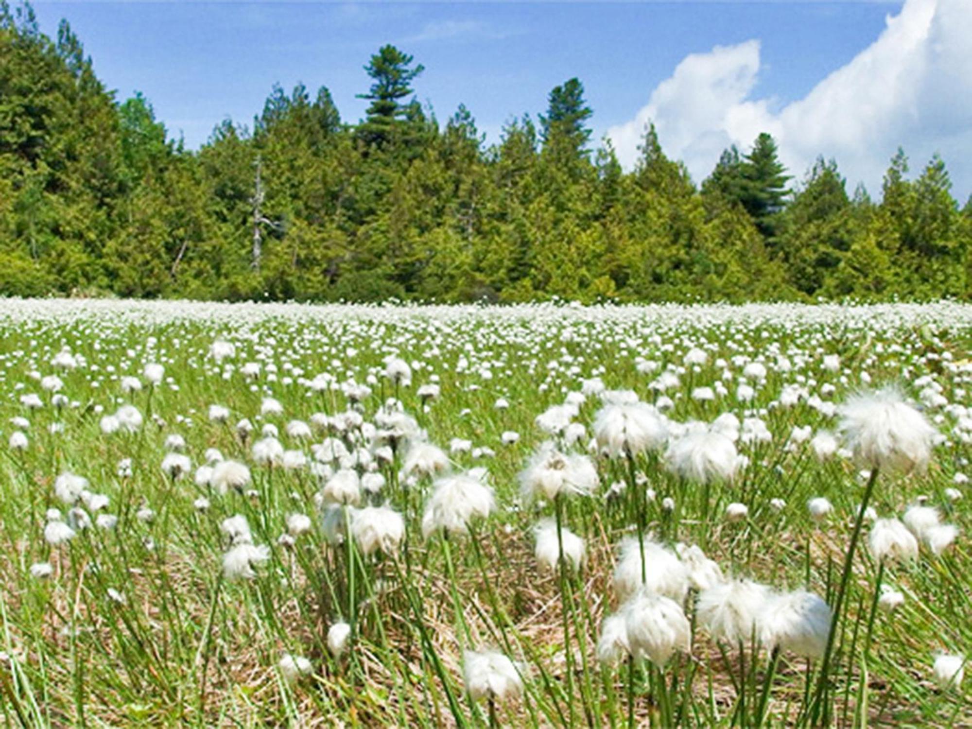 Shiga Kogen Lodge Yamanouchi  Zewnętrze zdjęcie